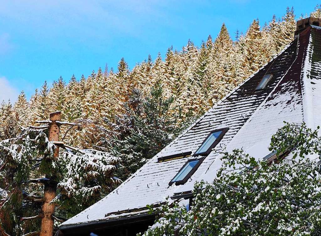 Eine schneeweie Schicht hat am Dienstagmorgen Bume, Wiesen und Blumen rund um Feldberg berzogen.