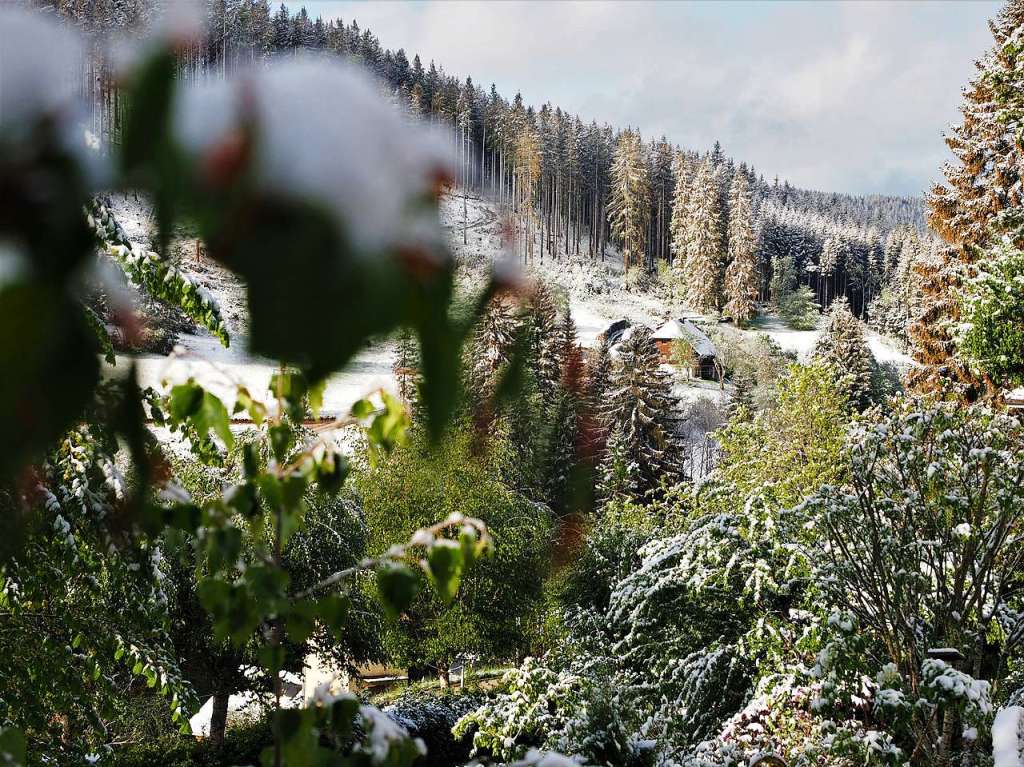 Eine schneeweie Schicht hat am Dienstagmorgen Bume, Wiesen und Blumen rund um Feldberg berzogen.