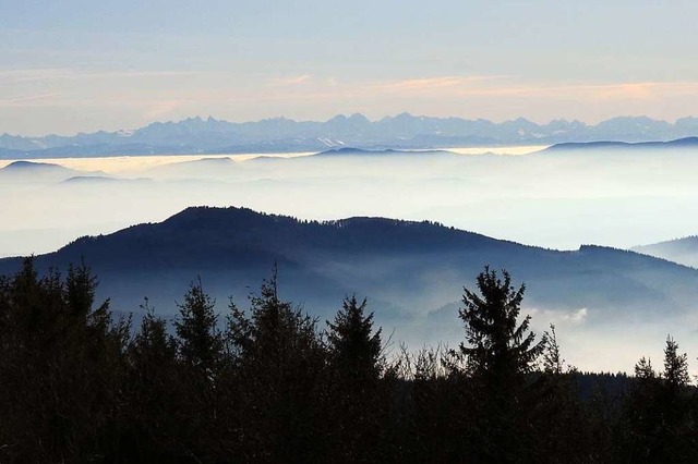 Blick bers Wiesental auf Eiger, Mnch, Jungfrau  und Mont Blanc  | Foto: Edith Mandel