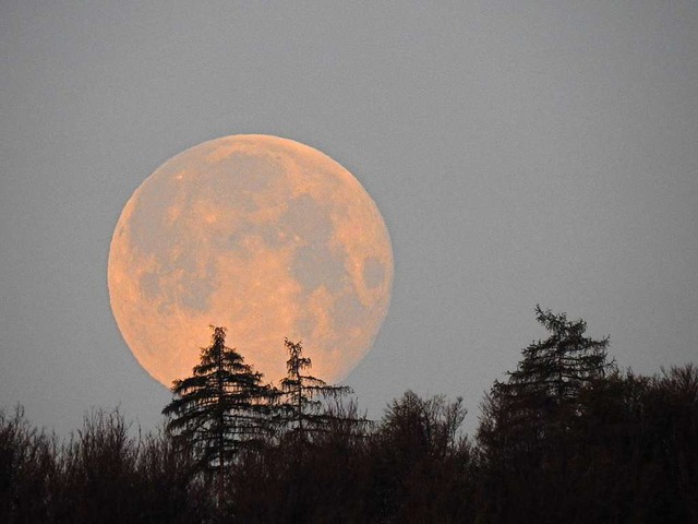 Mond  | Foto: Edith Mandel