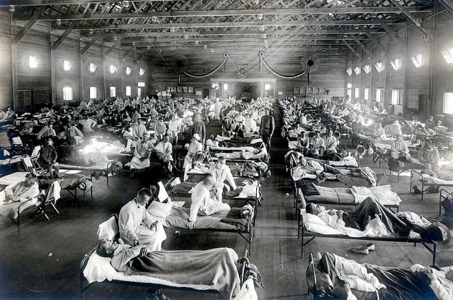Zwischen 27 und 50 Millionen Menschen ...n der Spanischen Grippe erkrankt sind.  | Foto: - (dpa)