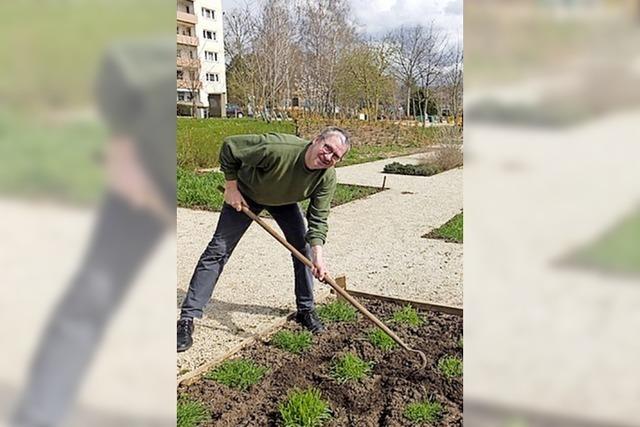 Die Ernte muss vor den Musen gesichert werden