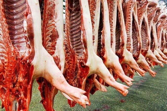 Die Arbeitsbedingungen in der Fleischwirtschaft stimmen in vielen Betrieben nicht