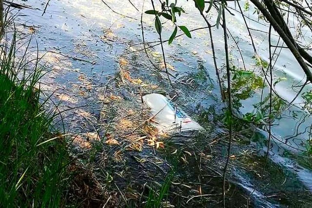 Mll liegt im Wasser- der Angelverein ...ll und Vandalismus auf seinem Gelnde.  | Foto: Bastian Bernhardt