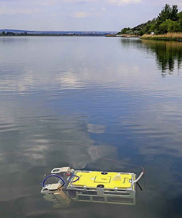 Kein Fisch, ein Roboter  | Foto: Jan Woitas (dpa)