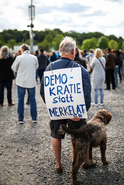 Demonstration in Stuttgart  | Foto: Christoph Schmidt (dpa)