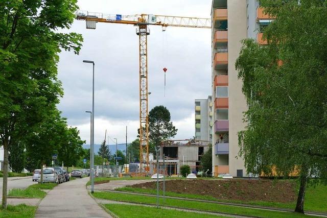 Wohnbau Rheinfelden auf Erfolgskurs