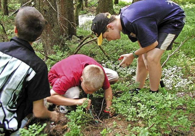 Was alles ber den Waldboden krabbelt, sehen und sammeln Schler bei Fhrungen.   | Foto: Haus der Natur