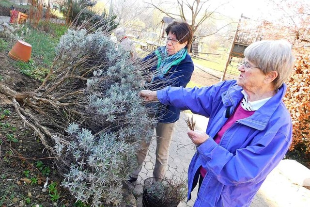 Gesine Muser (vorne) macht mit Mitstre...m Rathaus in Pfaffenweiler wieder fit.  | Foto: Andrea Drescher