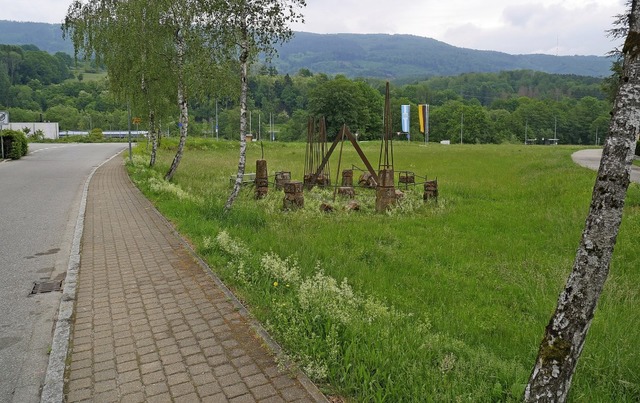 Auf der Wiese sdlich der Novartis soll sich in Zukunft Gewerbe niederlassen.   | Foto: Michael Gottstein