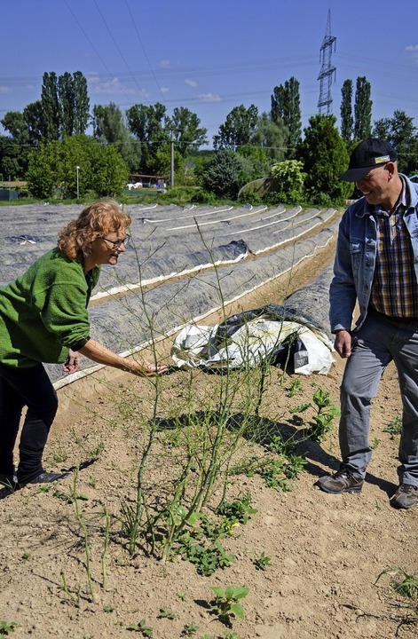 Carola Holweg und Landwirt Dieter Drrmeier auf dem Spargelfeld  | Foto: Gabriele Hennicke