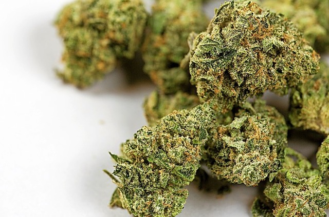 47 Kilo Marihuana sollen ber den Tisch gegangen sein.  | Foto: pattersonic - stock.adobe.com