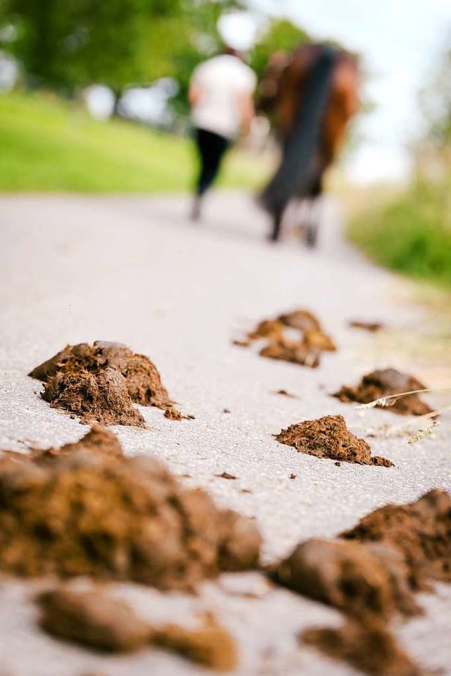 Die Hinterlassenschaften von Pferden sind ein rgernis.  | Foto: M.Drr & M.Frommherz  (stock.adobe.com)