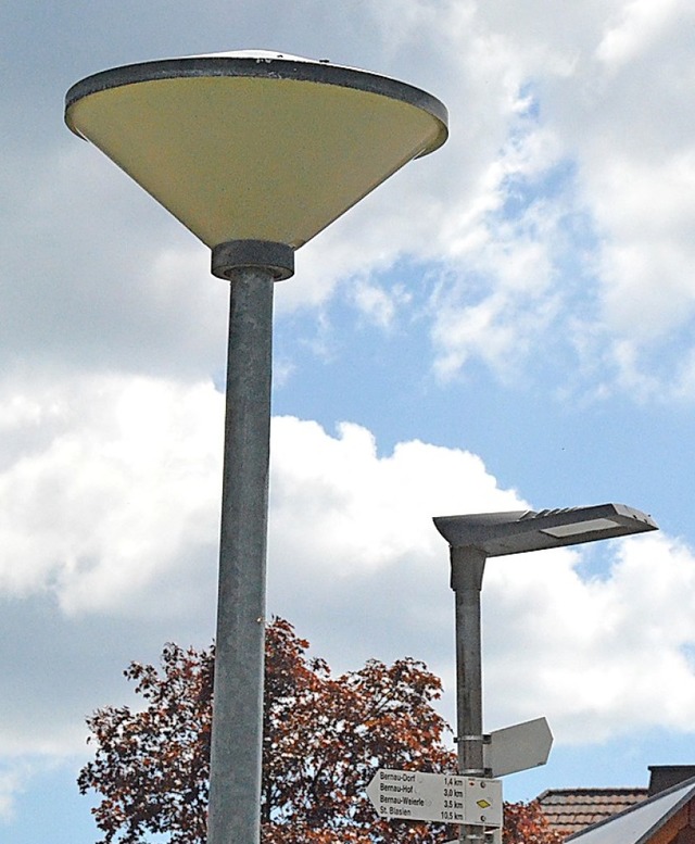 Die Pilzleuchten (Vordergrund) werden ...rleuchten (Hintergrund) folgen spter.  | Foto: Sebastian Barthmes