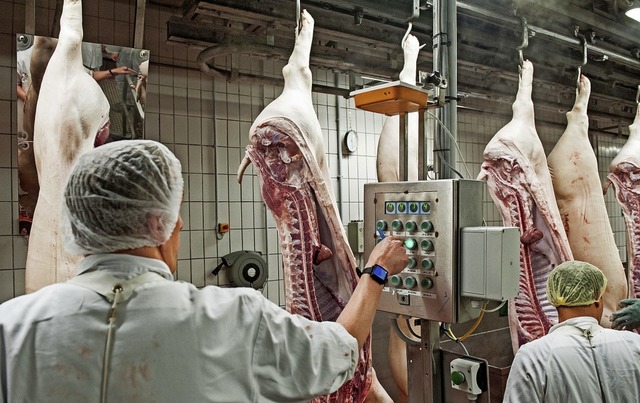 Fleischkonzerne drfen von 2021 an keine Subunternehmer mehr beauftragen.  | Foto: Ingo Wagner (dpa)