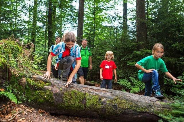 Auf Erlebnispfaden unterwegs im Nationalpark Schwarzwald