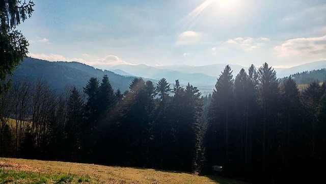 Ein Stck Schwarzwald  | Foto: Stefanie Yildiz Blm