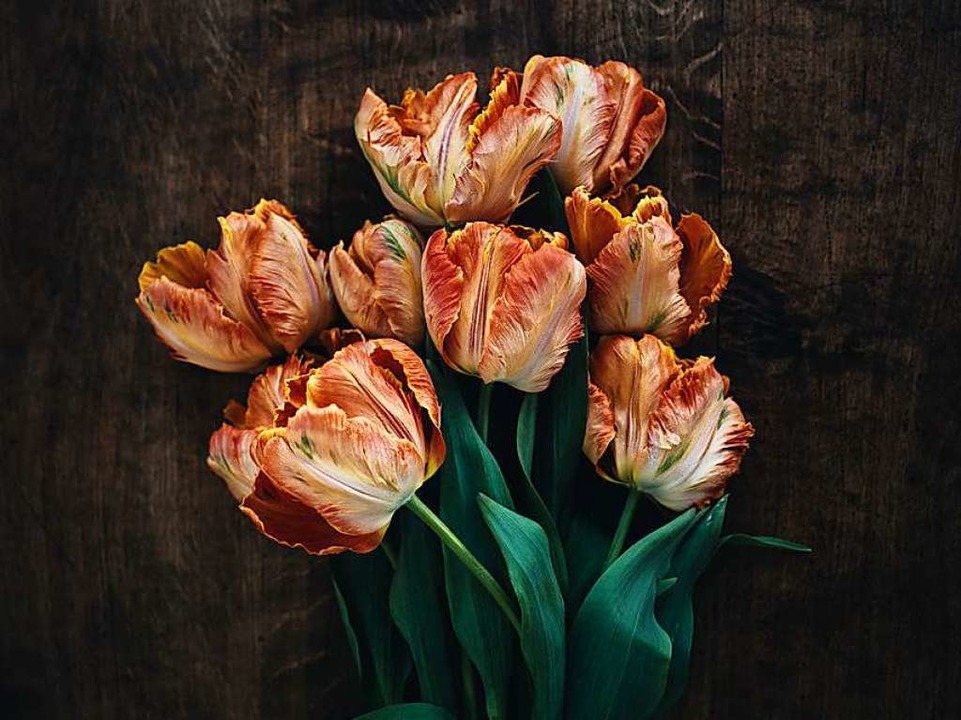 &#8222;Mit Blumen kann man malen&#8220;, sagt Malin Lüth.  | Foto: Marcia Friese