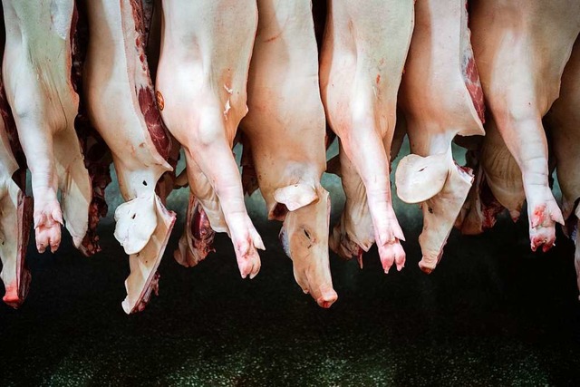 Halbierte Schweine hngen in einem  Schlachthof in Niedersachsen.  | Foto: Mohssen Assanimoghaddam (dpa)