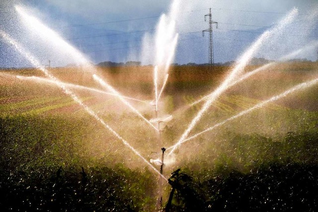 Dass die Landwirtschaft oft mit Trinkw...ur Trinkwassernutzung gefunden werden.  | Foto: Siegfried Gollrad