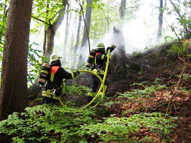 Auch Waldbrnde auf meist steilem, unw...rer Feuerwehrleute hohe Anforderungen.  | Foto: Ernst Brugger