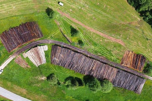 Der Forst nimmt ein Nasslager fr Sturmholz bei Tegernau in Betrieb