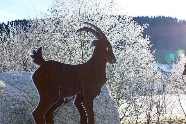 Familienrunde auf dem Geienpfad bei Menzenschwand