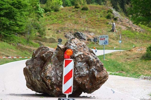 Wald bei Prg darf nach Felssturz nicht betreten werden