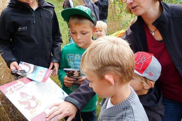 Kucky’s Vogelwelt ist ein Rundweg mit vielen Spielangeboten fr die Familie