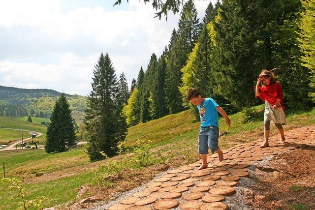 Barfupfad Muggenbrunn.  | Foto: BERGWELT Sdschwarzwald