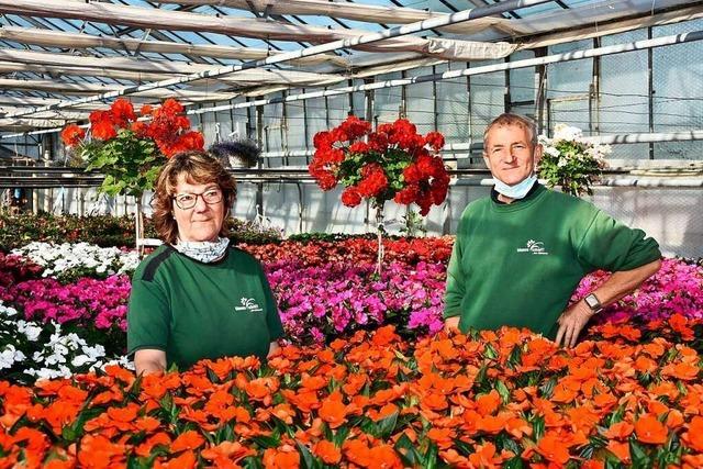 Warum tausende Blumen in Grenzach-Wyhlen auf dem Mll landen