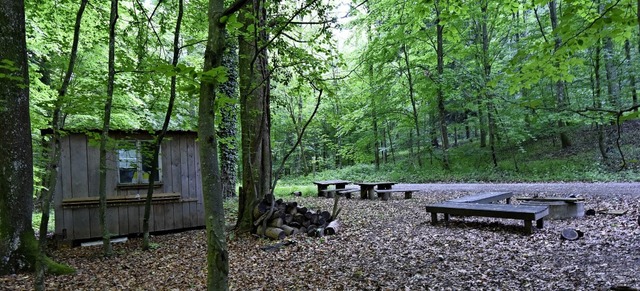 Mitten im Wald, am Schutteracker beim ...Waldkindergartens aufgestellt werden.   | Foto: Markus Zimmermann