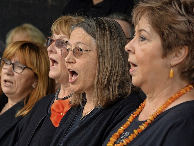 Im Chor zu singen derzeit  nicht zu ma... Seelsorgeeinheit Laufenburg/Albbruck.  | Foto: Barbara Ruda