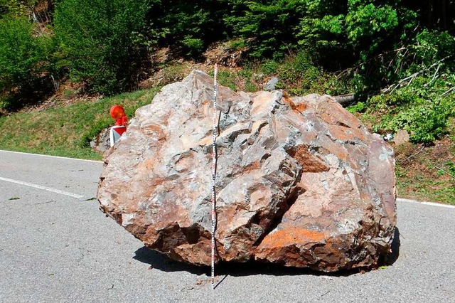 Zuerst wird der Hang gesichert, dann ist der Block auf der L149 dran.  | Foto: Landesamt fr Geologie, Bergbau und Rohstoffe