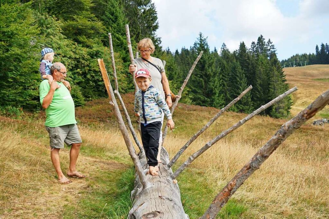 Auf 600 Metern Wegstrecke knnen auf d...en. Das gefllt nicht nur den Kindern.  | Foto: Verena Wehrle