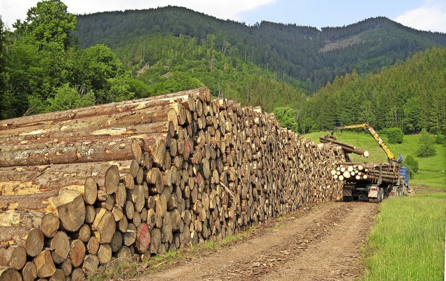 In Geschwend entsteht ein groer Holzl... doppelt so gro  wie der  in Schnau.  | Foto: Dirk Sattelberger