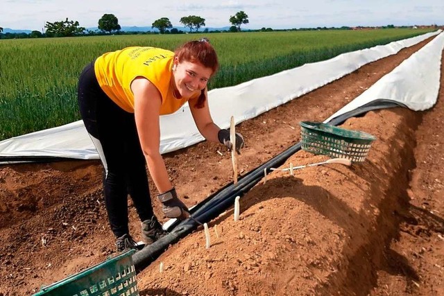 Desiree Meier finanziert sich mit ihre... jetzt arbeitet sie als Erntehelferin.  | Foto: privat