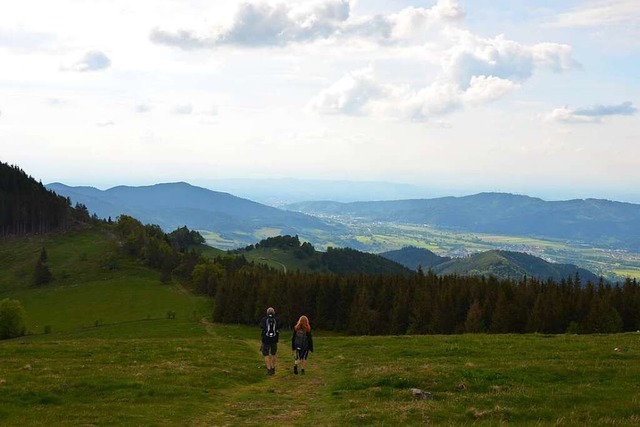 Welch Weite! Panoramablick vom tapfer erwanderten Hinterwaldkopf  | Foto: Anita Fertl