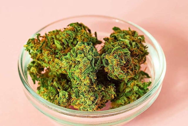 CBD sieht genauso aus wie Cannabis.  | Foto: viennetta14 (Adobe Stock)