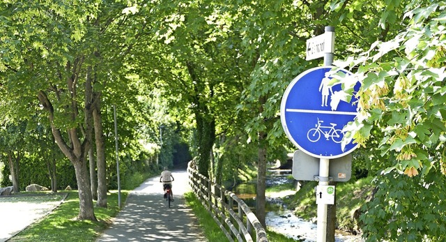 Gefhrliche Stellen fr Radfahrer verm...s Markgrflerland auf ihrer Homepage.   | Foto: Sophia Hesser