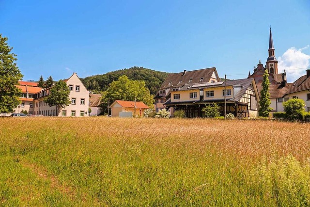 Noch eine Wiese, doch schon bald will ...nster einen Geschossneubau errichten.  | Foto: Sandra Decoux-Kone