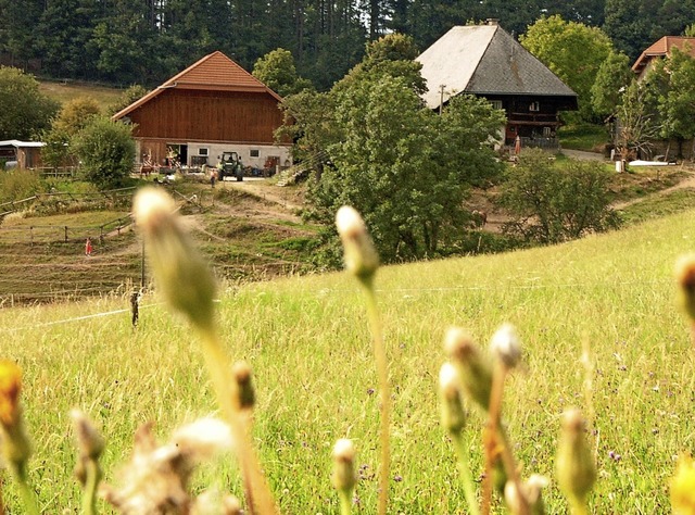 Urlaubsgste in Horben knnten knftig...eimische sollen nicht belastet werden.  | Foto: Kathrin Blum