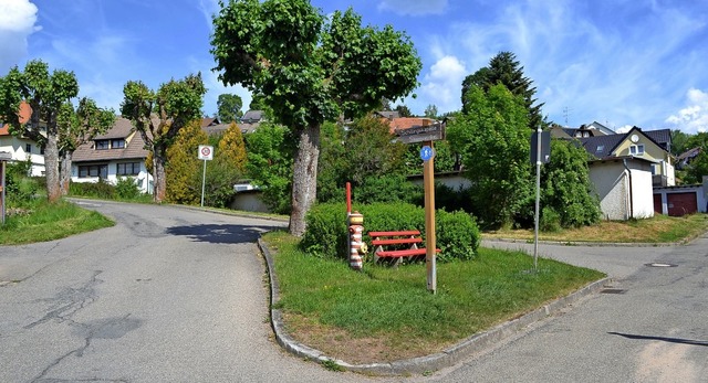 Die Verkehrsinsel mit Ahornbaum und V-...ibt auf Wunsch der Anlieger erhalten.   | Foto: Liane Schilling