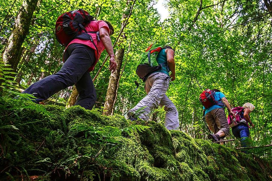 Die Gratwanderer wollen besondere Touren anbieten.  | Foto: David Lohmueller