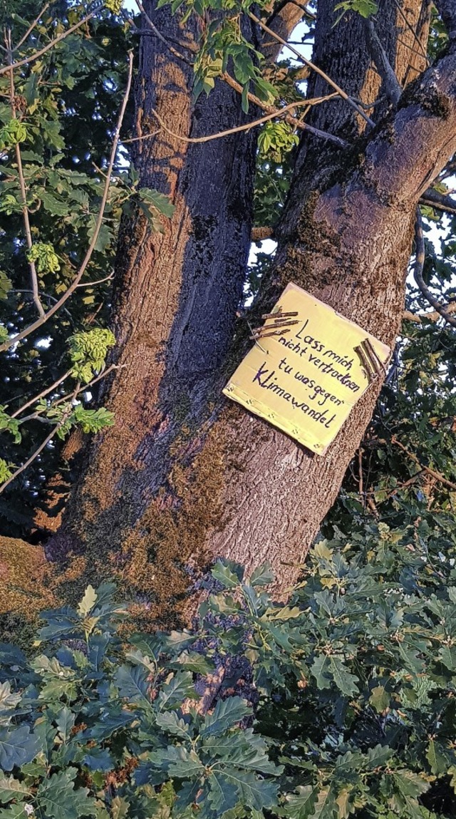 Mahnung zum Klimaschutz, gesehen an einem Baum bei Kollmarsreute.  | Foto: Gerhard Walser