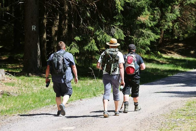 Wanderungen in Gruppen sind grundstzlich wieder mglich  | Foto: Bodo Schackow (dpa)
