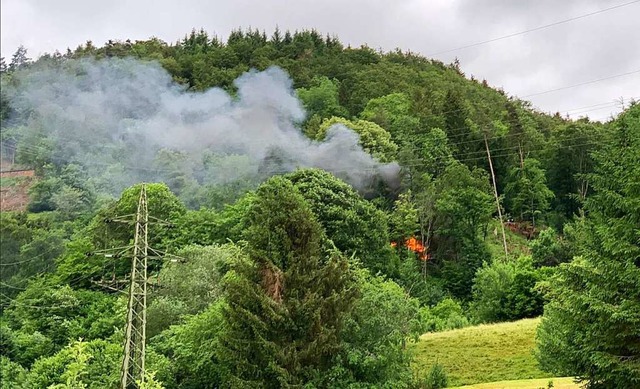 Im Zeller Wald brannte eine Htte.  | Foto: Feuerwehr