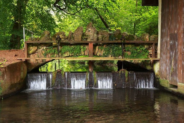 Englischer Garten in Hugstetten  | Foto: Max Schuler