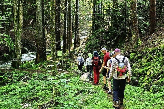 Wanderer und Radler sollen Wege im Biosphrengebiet nicht verlassen