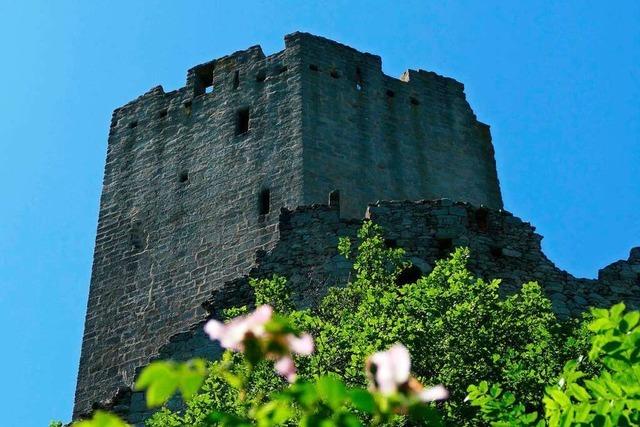 Rauf zum Raubritternest auf die Burg Ortenbourg